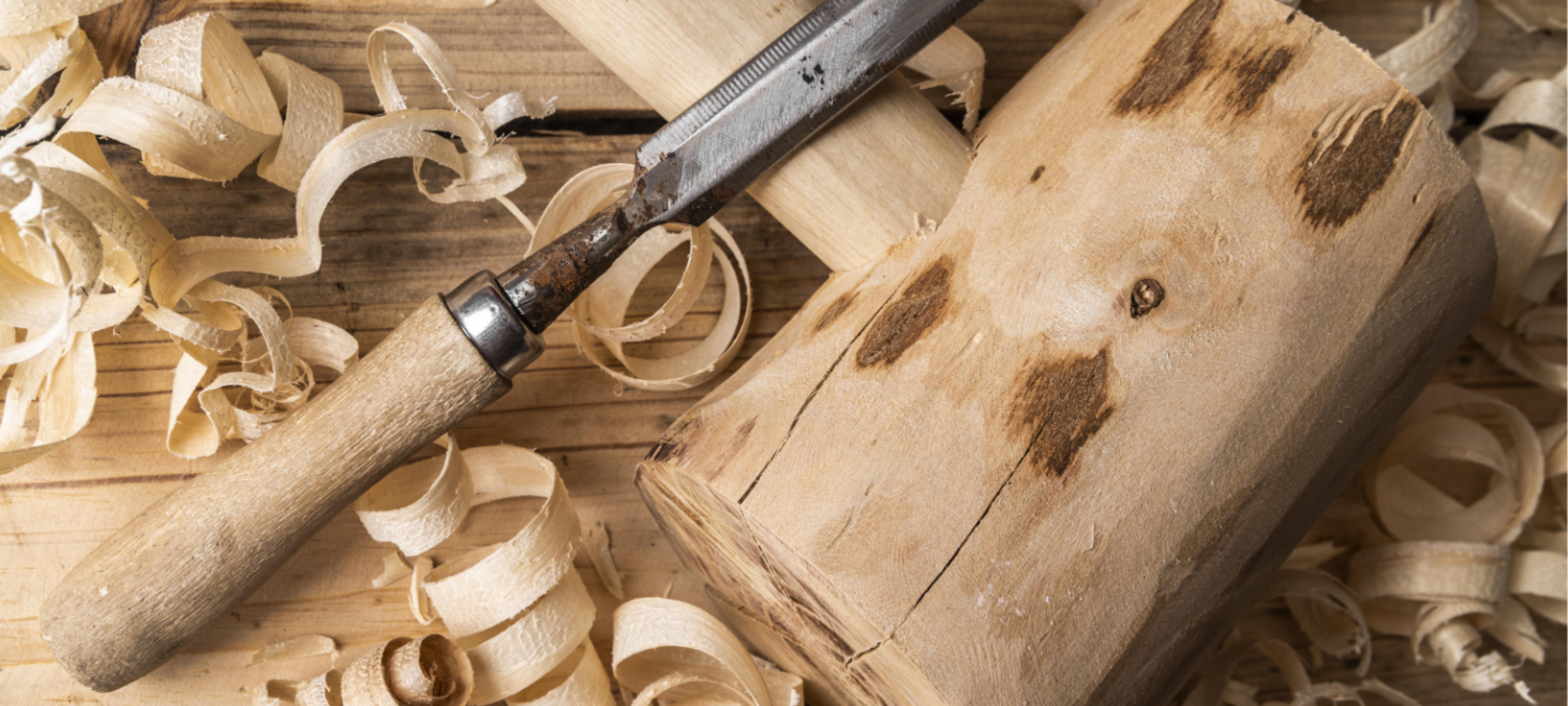 8 Best Wood Carving Knives for Beginners